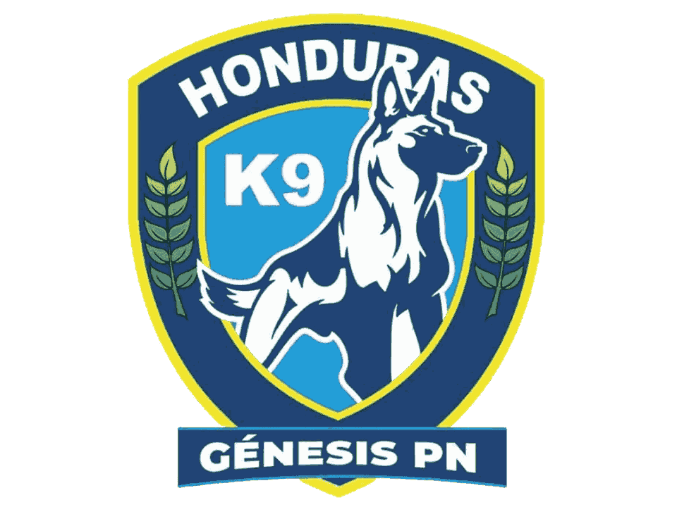 Génesis PN